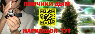 прущие грибы Нальчик
