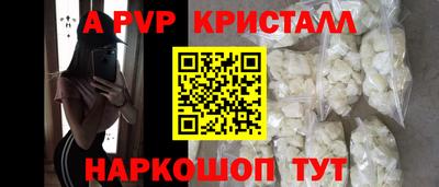 прущие грибы Нальчик