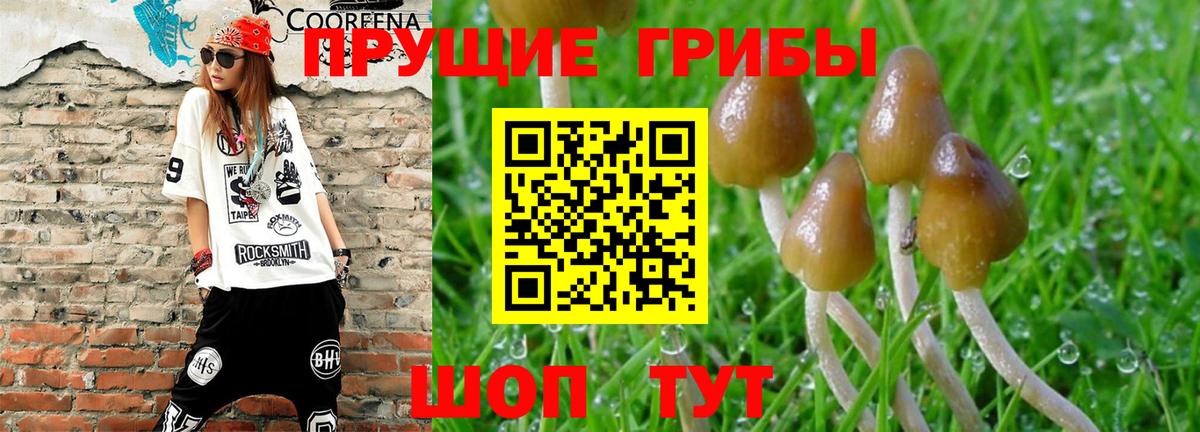 Ступино  Галлюциногенные грибы прущие грибы  Галлюциногенные грибы мицелий  Вход с VPN 